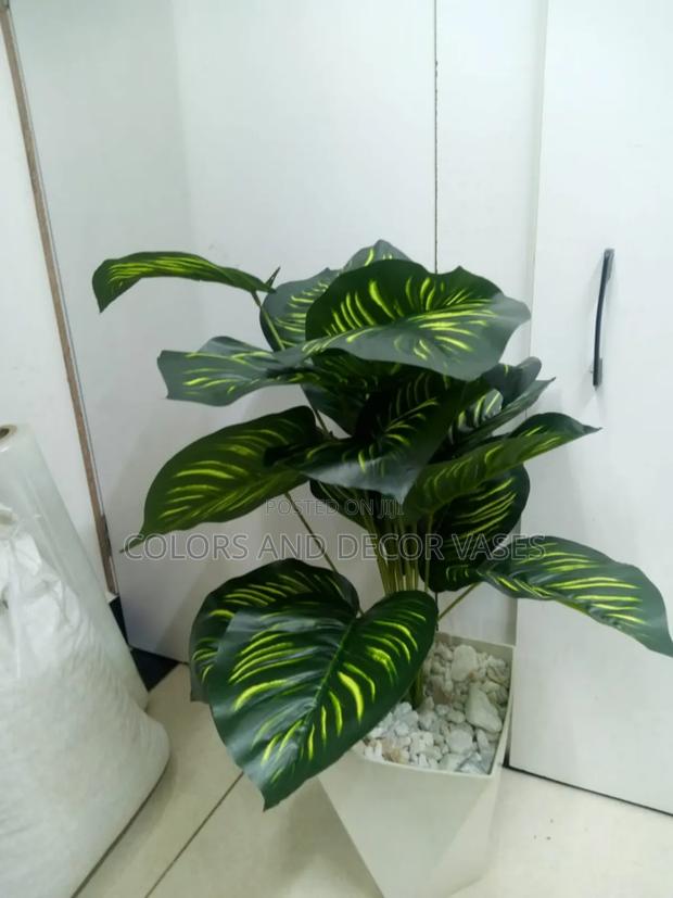 Stripped Plant With Hard Plastic Vase on Offer