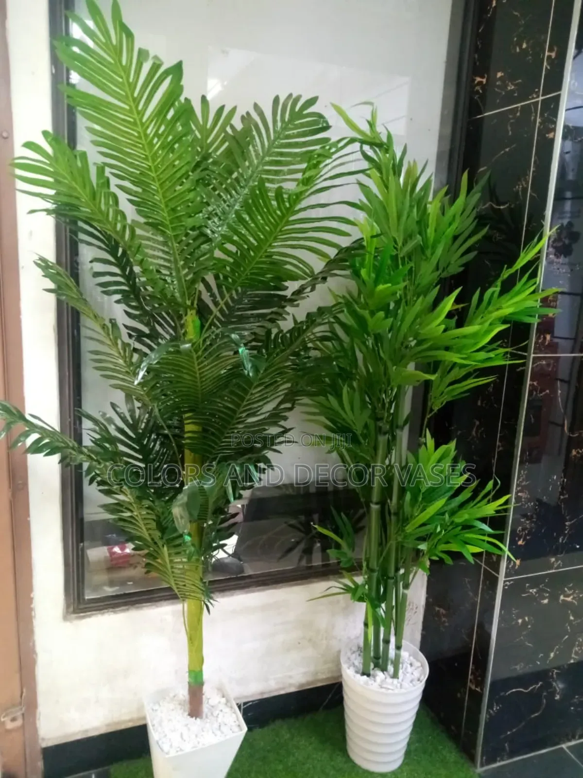 Palm Trees and Bamboo Trees Available