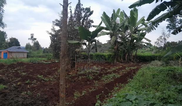 50 * 100 for Sale Karura - thumbnail 3