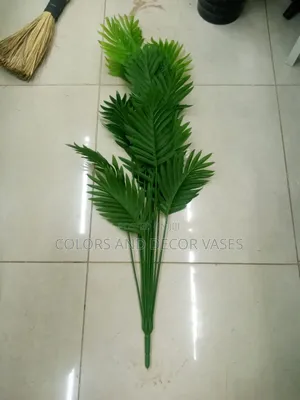 1m Palm Tree on Offer KSH 