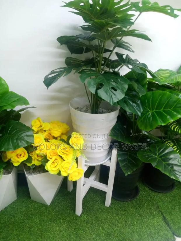 Flower, Stand and Plastic Vase Offer Price - main view