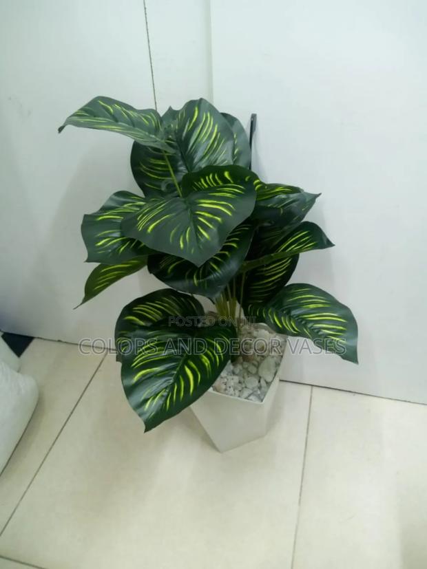 Stripped Green Plant With Plastic Vase Available