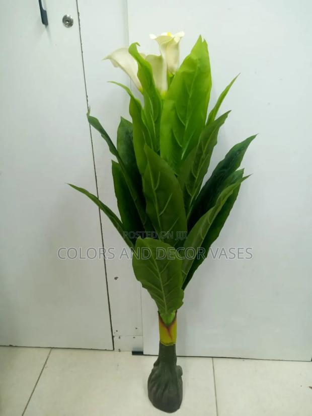 Flowered Plant in Orange and White