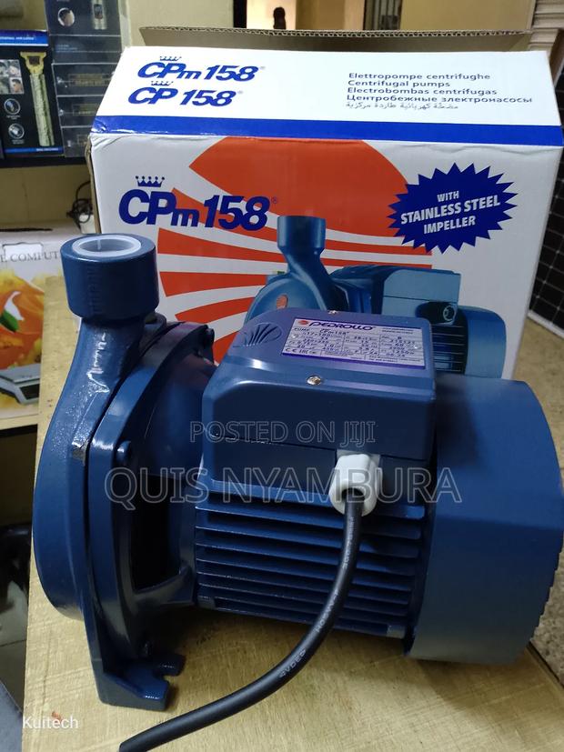 Pedrollo Water Pump/ 1hp Cpm158 Pedrollo Pump