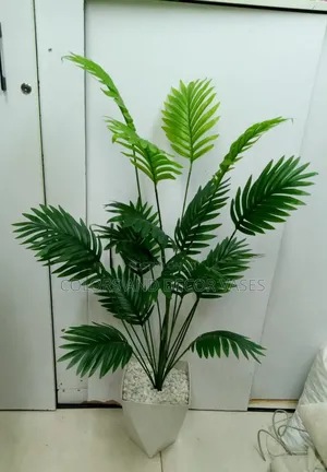 1.2m Long Palm Tree With Vase KSH 3500