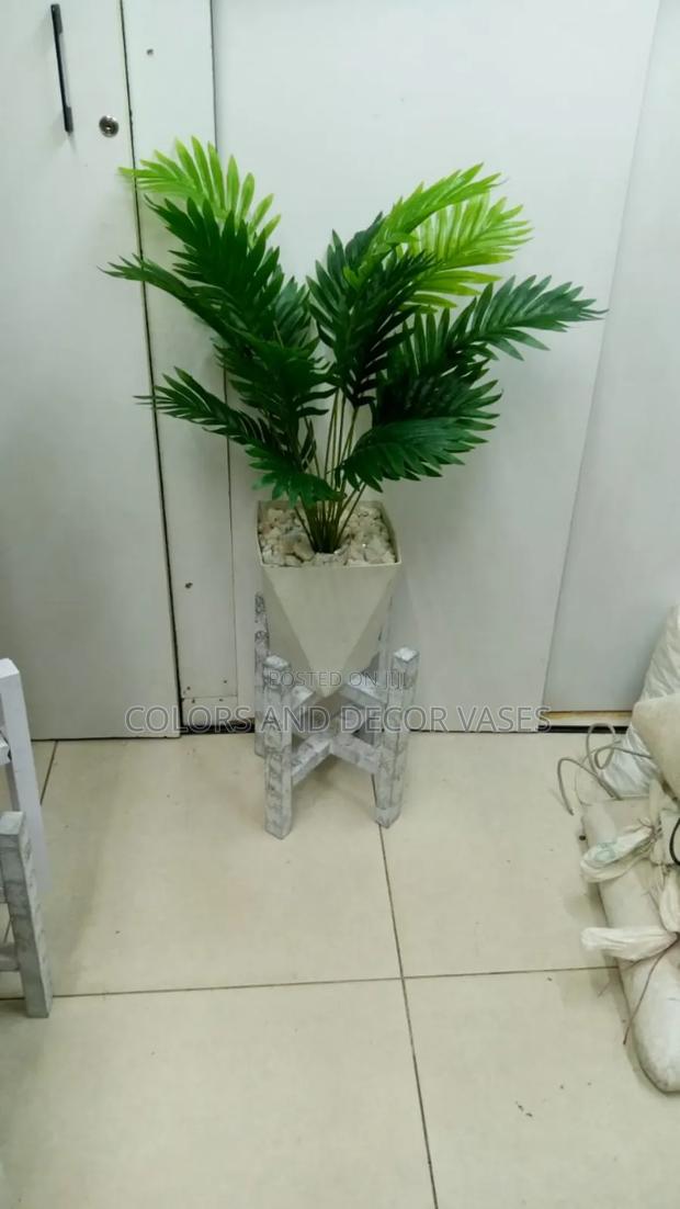 Palm,Stand Wooden With Vase and Pebble Stones