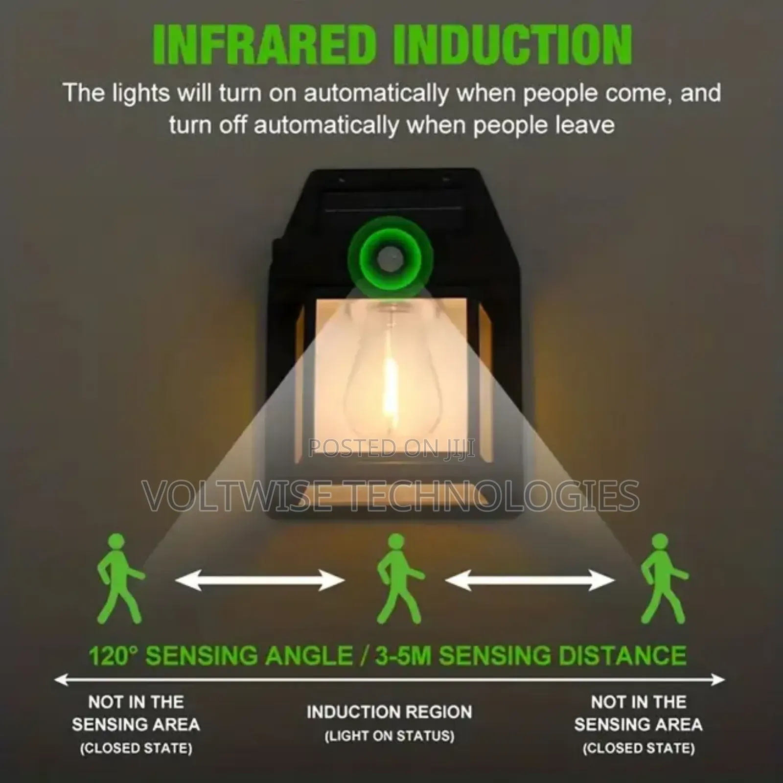 Quality Solar Compound Lights