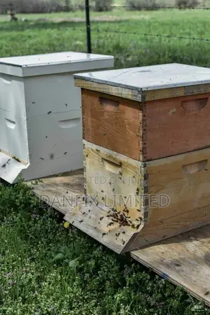 Construction of Langstroth Hives
