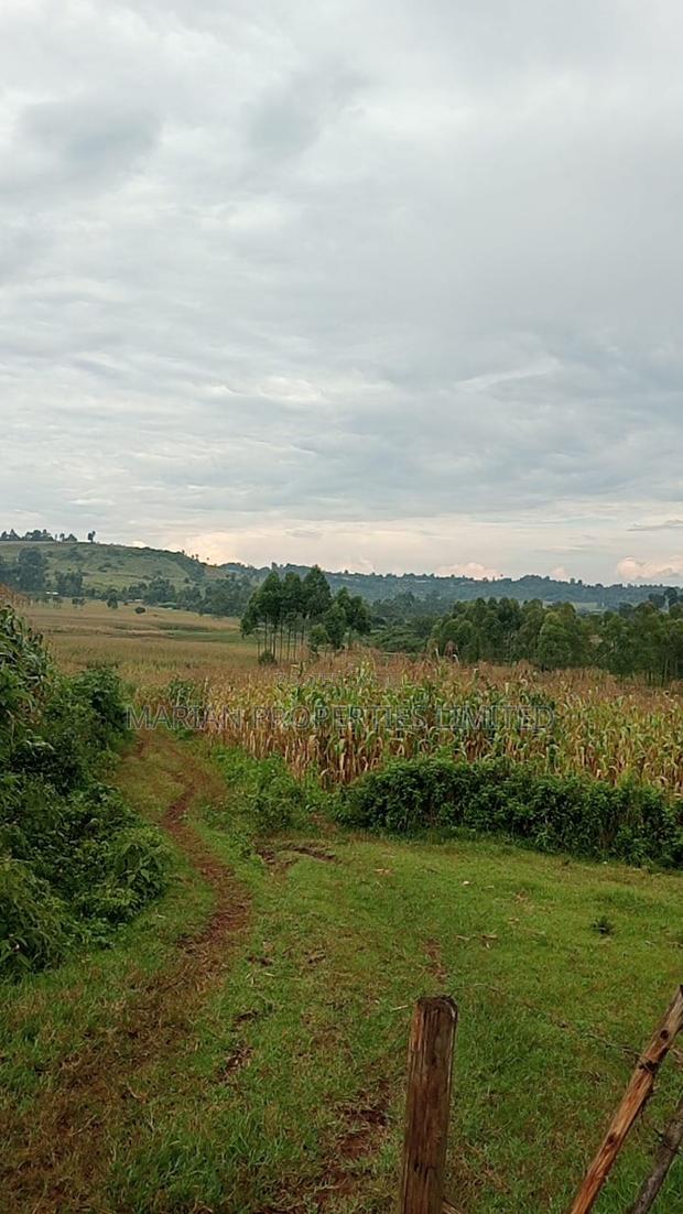 85 Acres for Sale in Soy-Kakamega - thumbnail 2