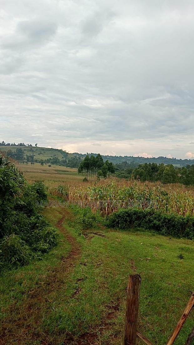 85 Acres for Sale in Soy-Kakamega - thumbnail 3