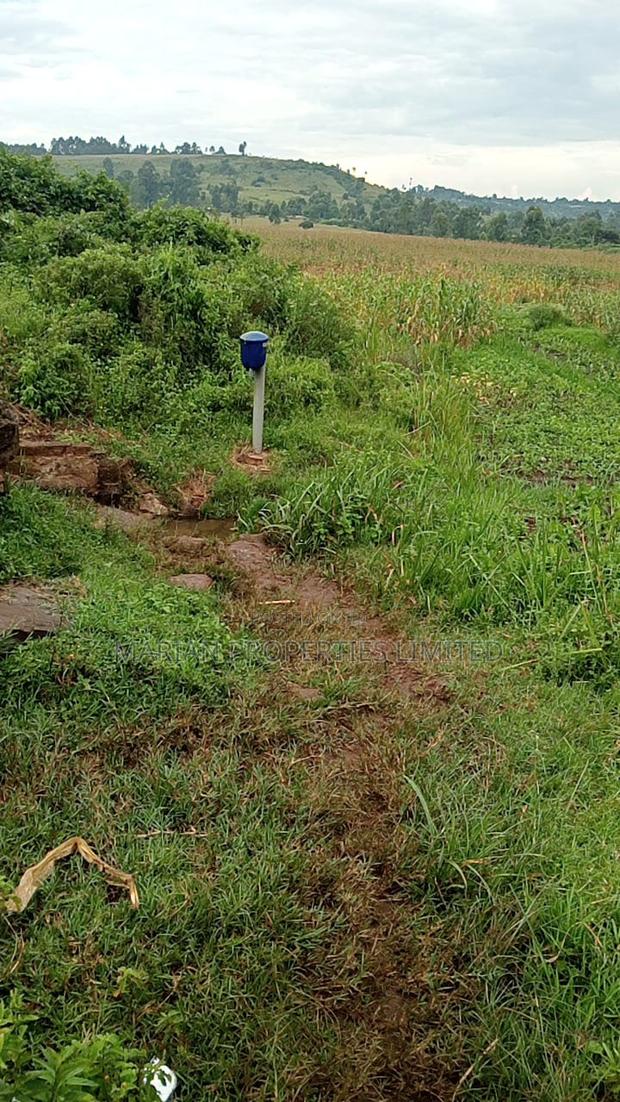 85 Acres for Sale in Soy-Kakamega - thumbnail 4