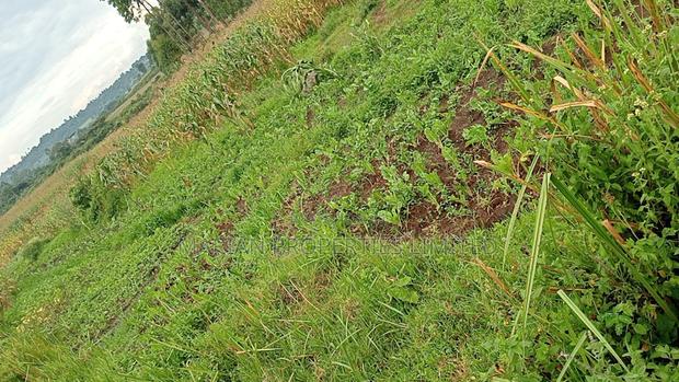 85 Acres for Sale in Soy-Kakamega - thumbnail 5