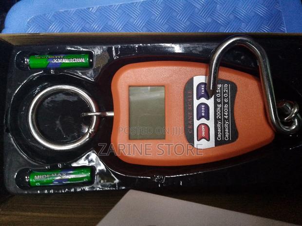 200 Kg Maximum Mini Crane Weighing Scale - main view