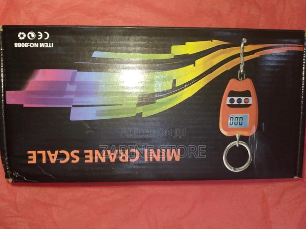 200kg Digital Mini Crane Weighing Scale - main view