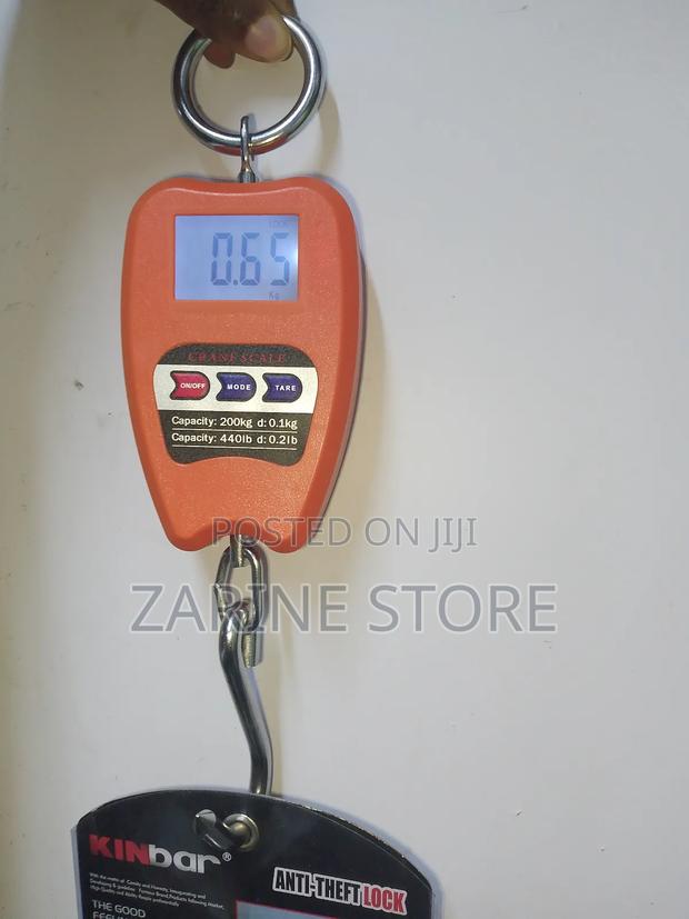 Mini Crane Weighing Scale - main view