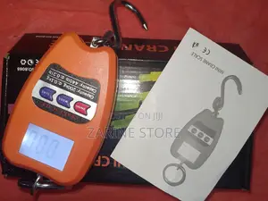 200kg Mini Crane Weighing Scale