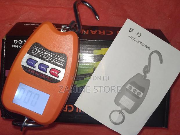 200kg Mini Crane Weighing Scale - main view