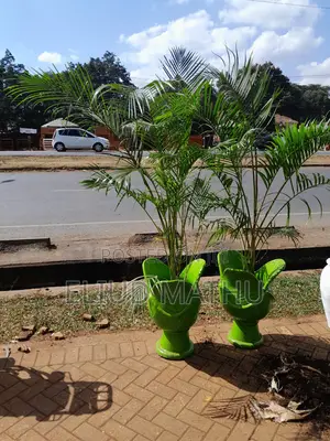 Flower Pot