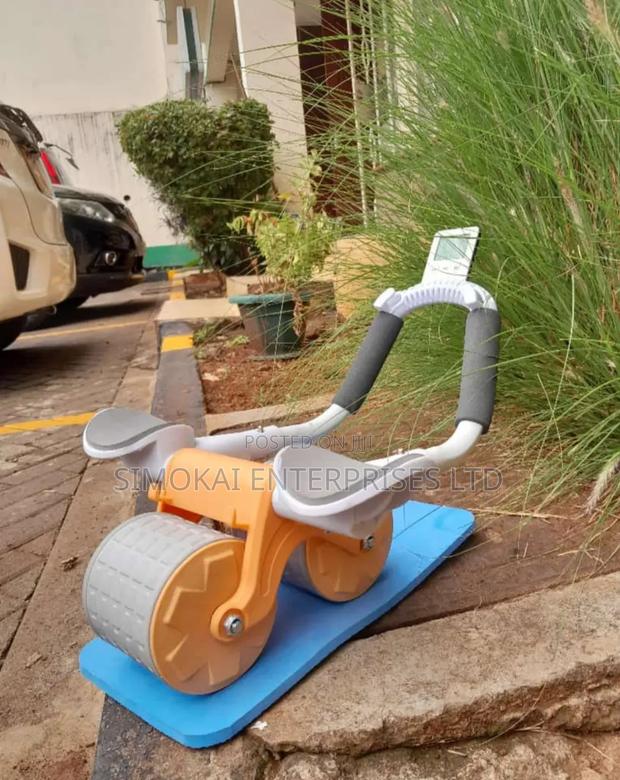 2 Wheel Automatic ABS Rebounder - main view