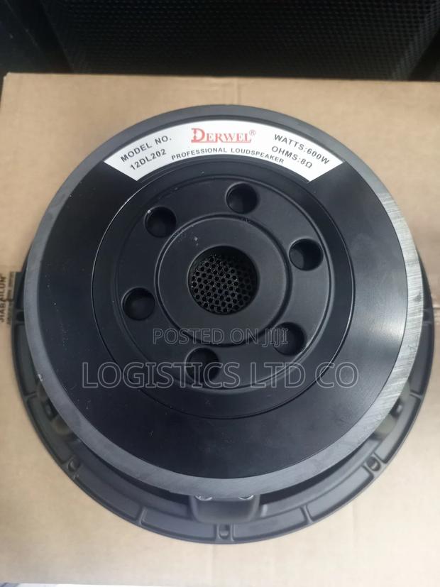 Derwel Dl202 12inch 600watts Midrange Speaker
