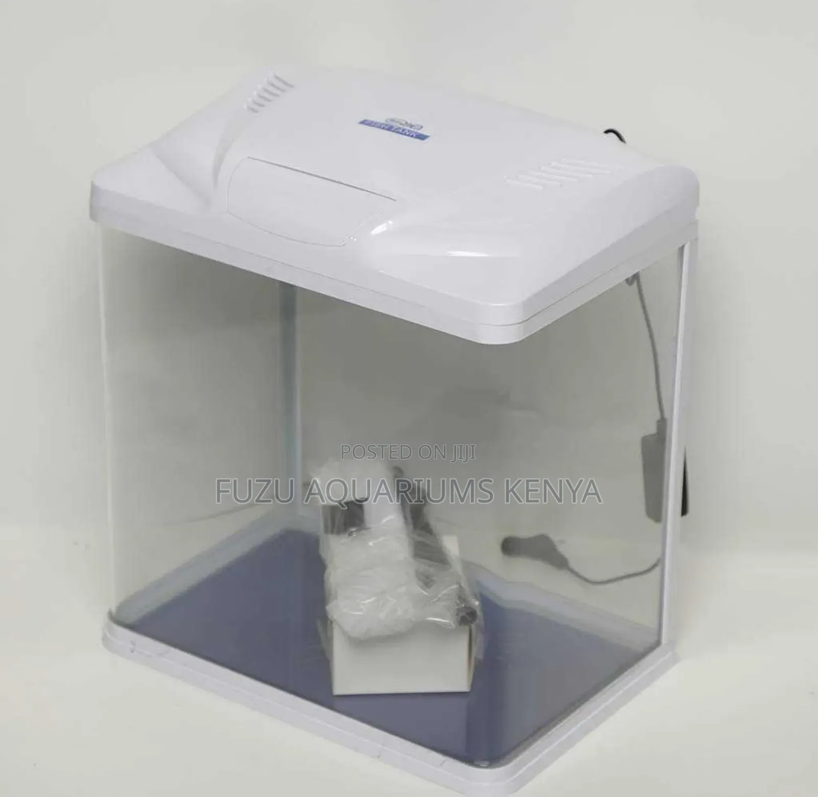 Small Aquarium Curves Face