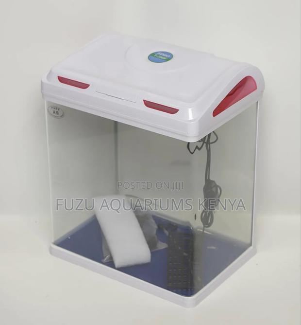 Imported Aquarium Curved Face - main view