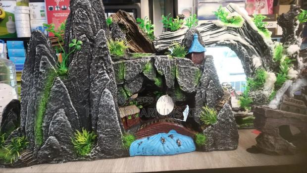 Ornament for Aquarium