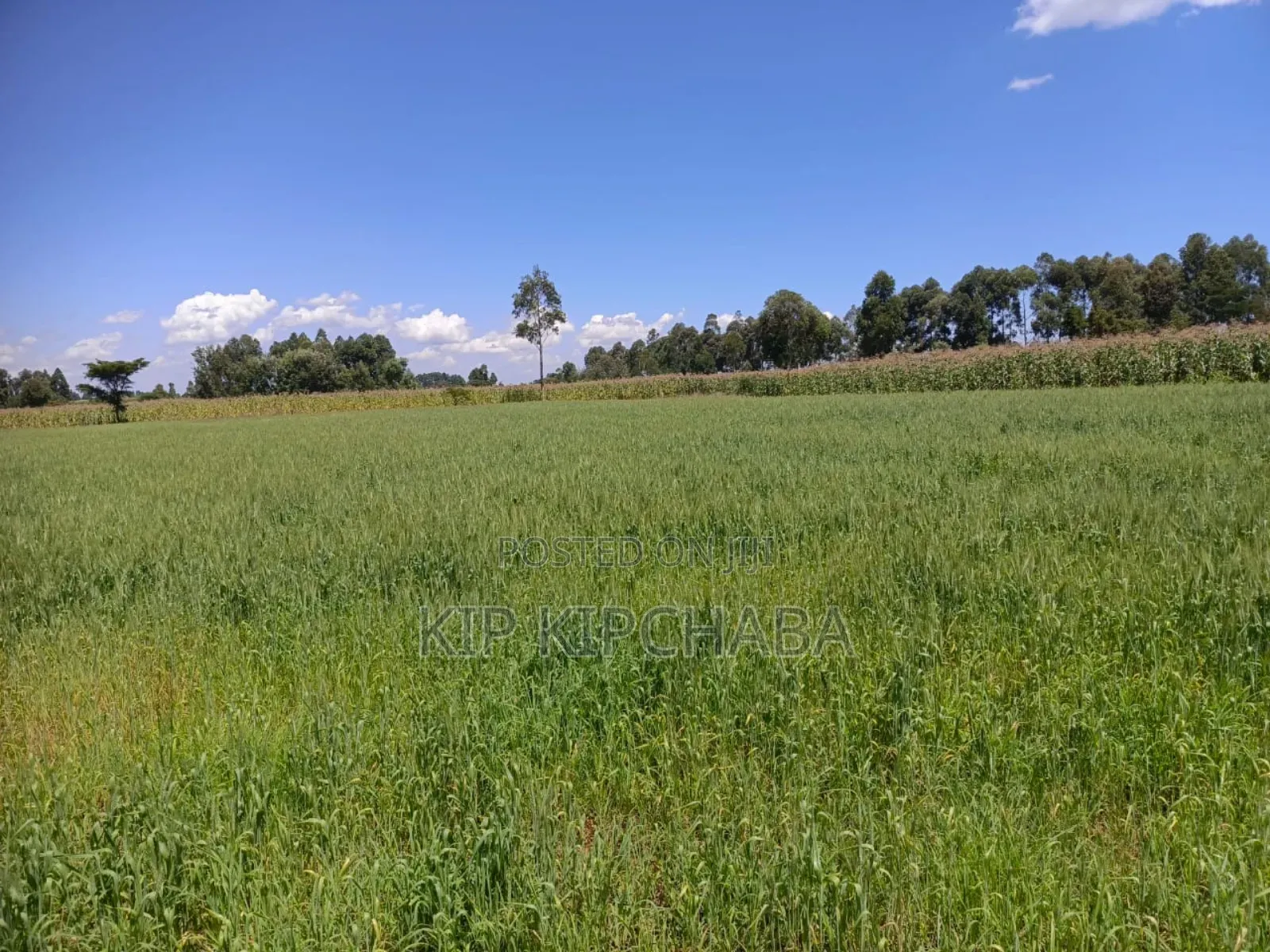 40 Acres Primeland for Sake in Merewet Eldoret