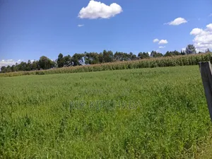 40 Acres Primeland for Sake in Merewet Eldoret