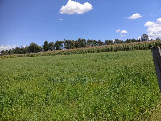 40 Acres Primeland for Sake in Merewet Eldoret - thumbnail 2