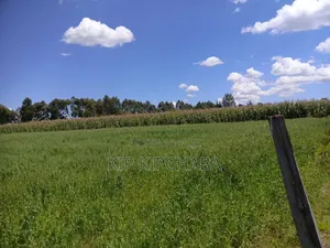 40 Acres Primeland for Sake in Merewet Eldoret