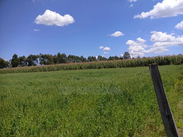 40 Acres Primeland for Sake in Merewet Eldoret - thumbnail 3