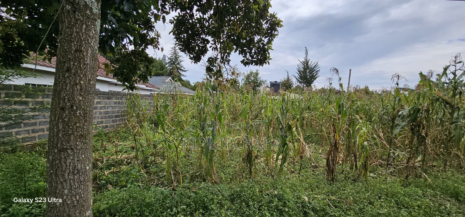 40 Acres Primeland for Sake in Merewet Eldoret
