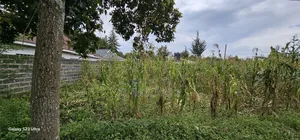 40 Acres Primeland for Sake in Merewet Eldoret