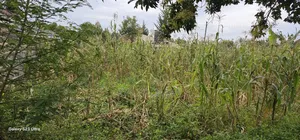 40 Acres Primeland for Sake in Merewet Eldoret