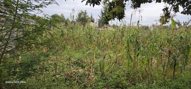 40 Acres Primeland for Sake in Merewet Eldoret - thumbnail 5