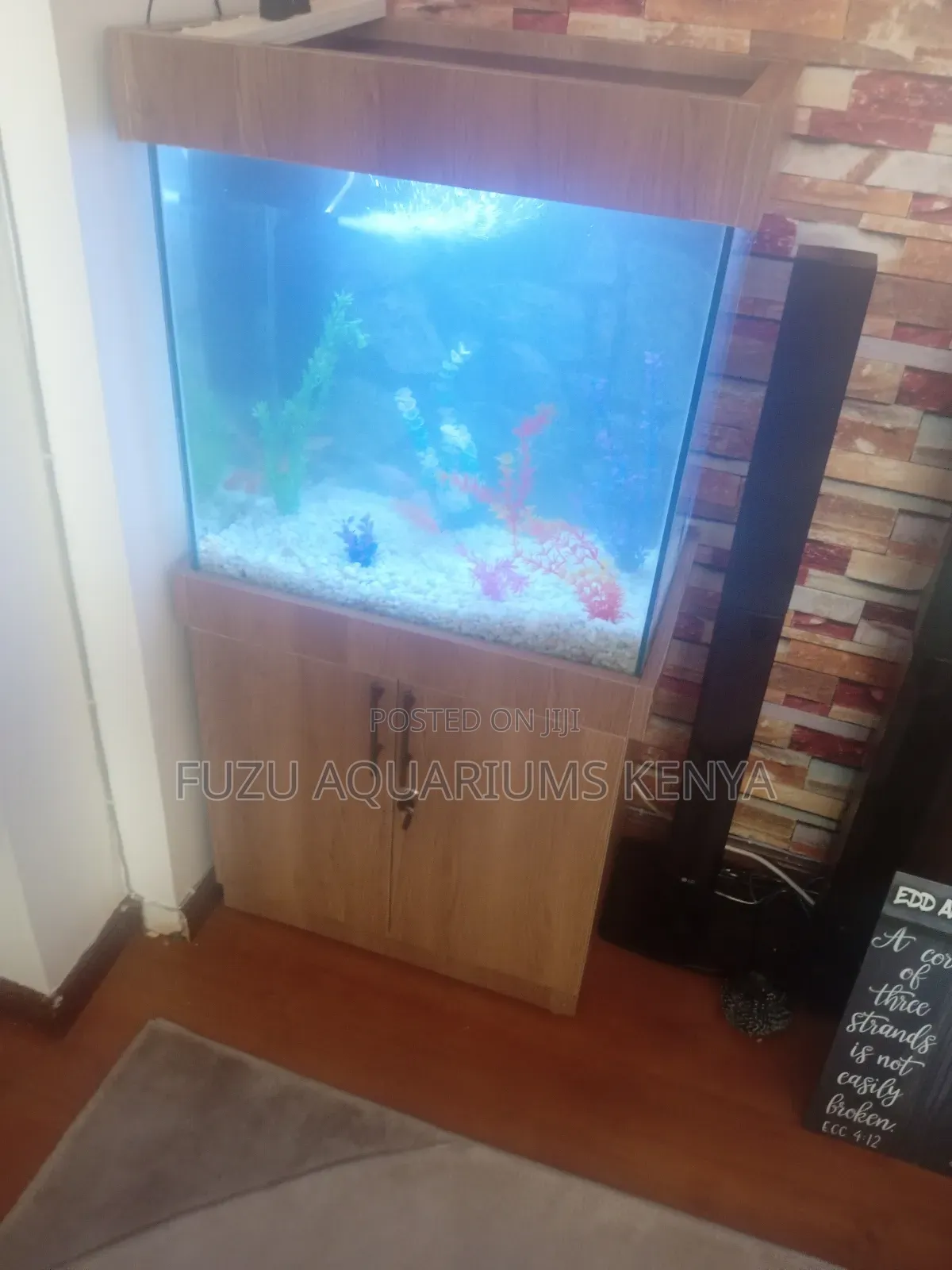 2ft Aquarium With Cabinet and 10 Fish