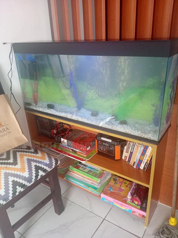 1metres Aquarium - main view