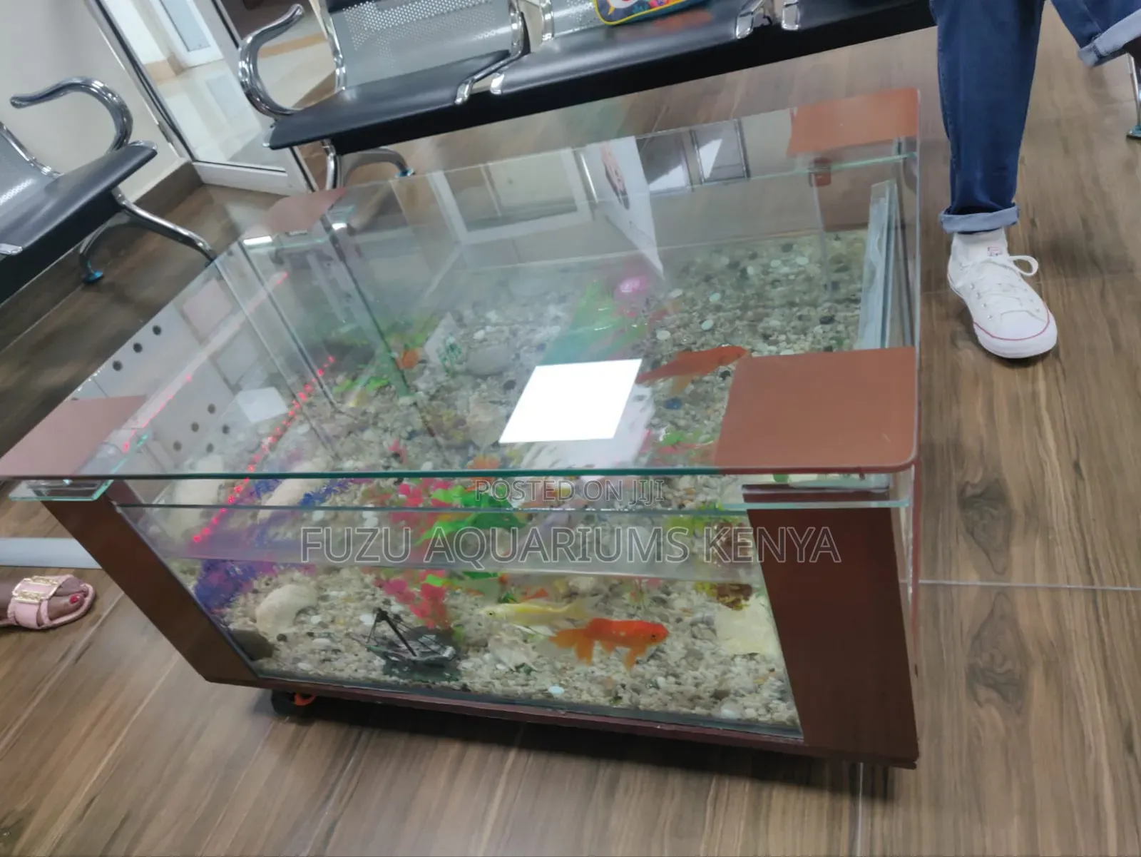 Coffee Table Aquarium With 10fish