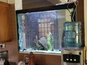 Partition Aquarium