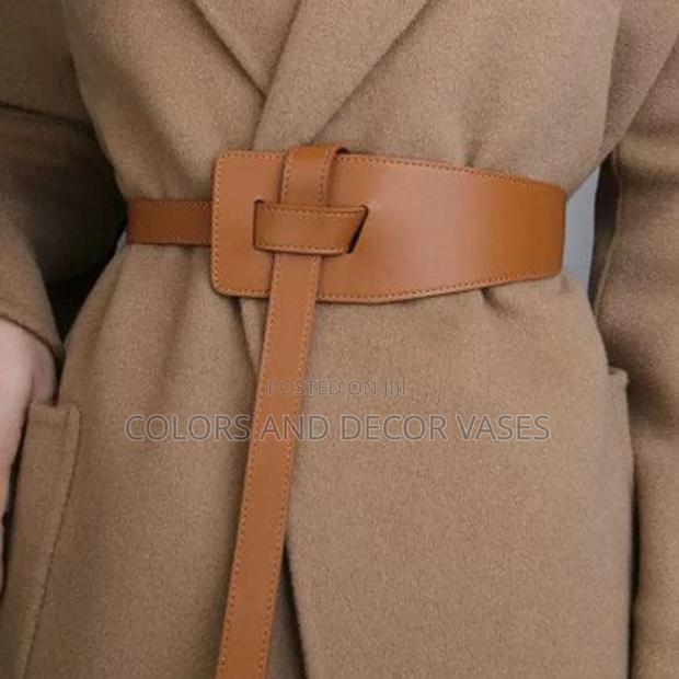 Brown Leathered Belts - main view