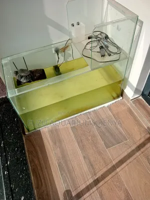 Turtle Aquarium With Accessories