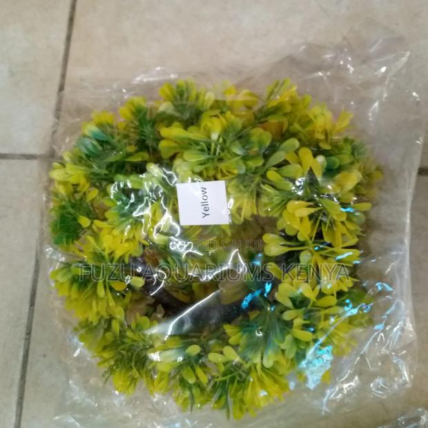 Aquariums Round Plants - ( Cave-Like ) - thumbnail 2