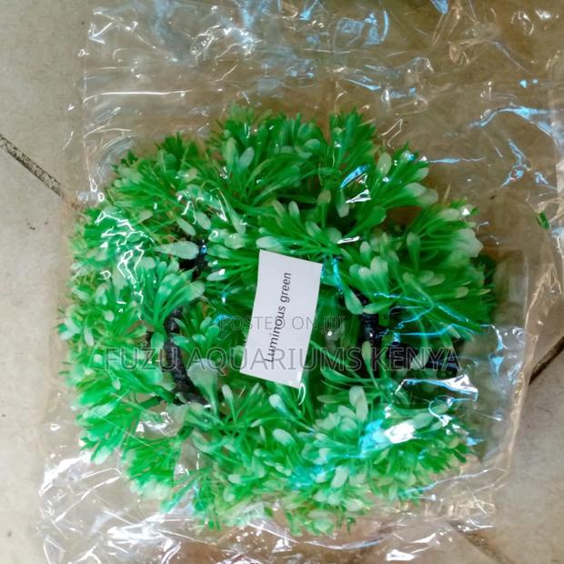 Aquariums Round Plants - ( Cave-Like ) - thumbnail 3