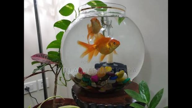 Aquarium Bowl With Fish and Deco
