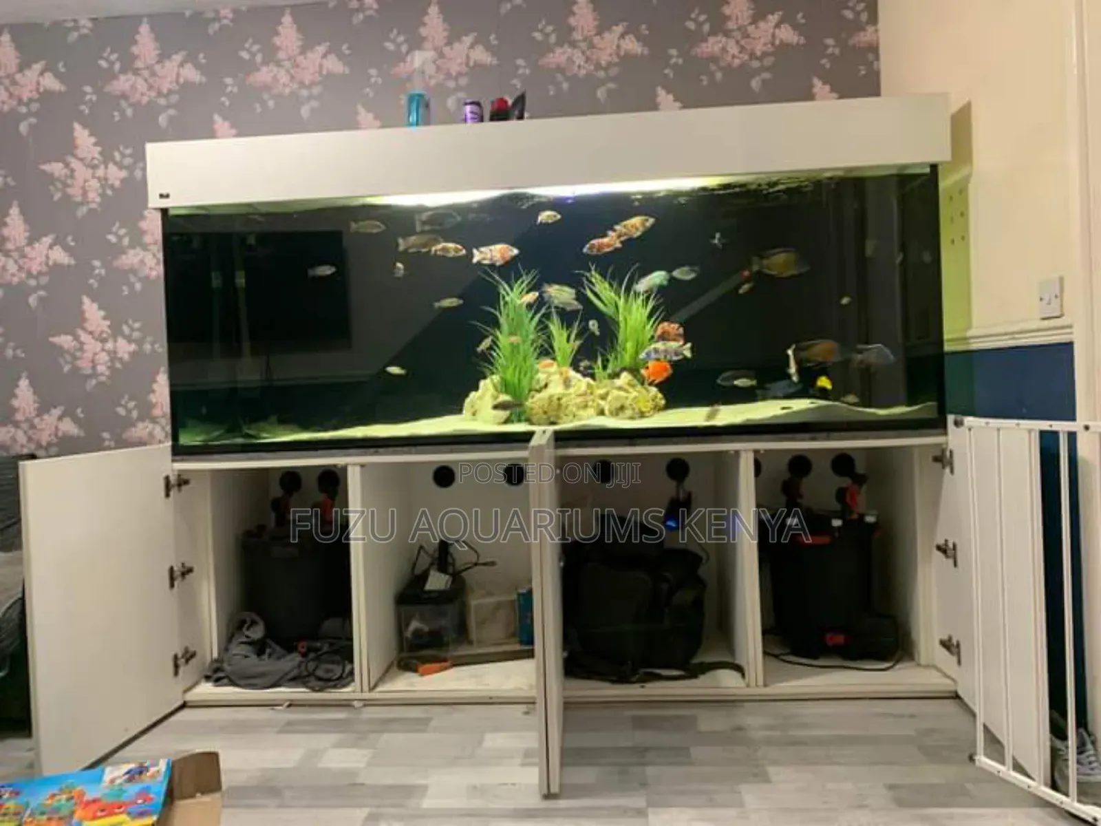 Aquarium With Super Filtration and Fun Deco