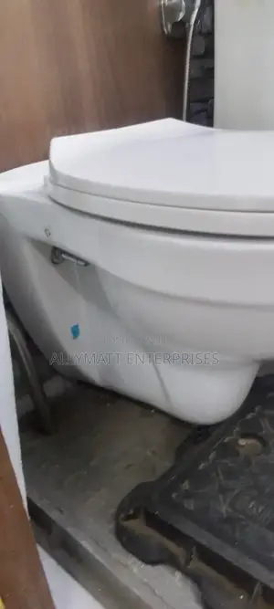 Wall Hung Toilet
