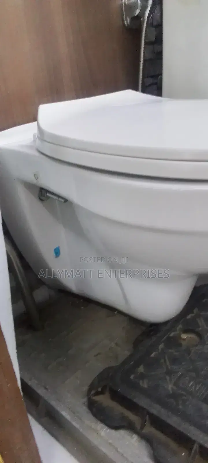 Wall Hung Toilet