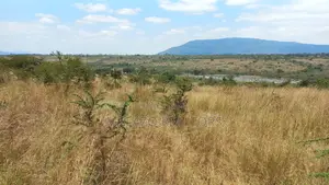 10 Acres Land for Sale in Thika