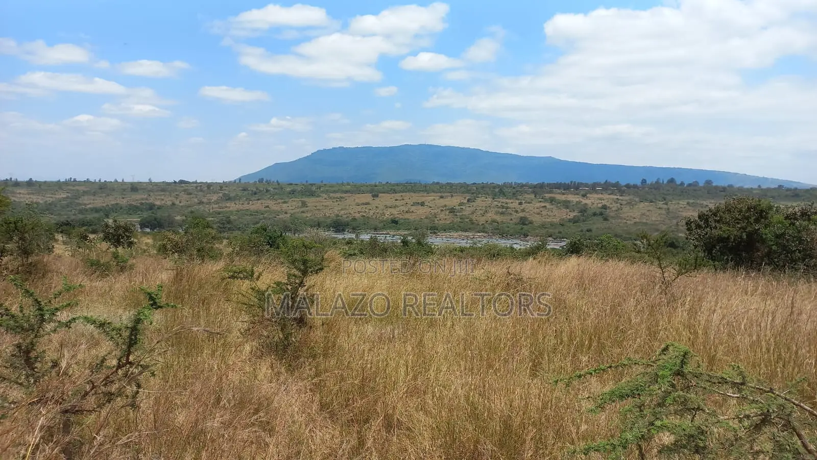 10 Acres Land for Sale in Thika